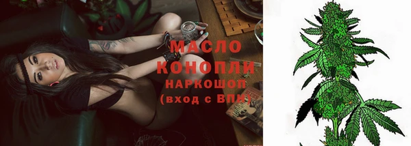 ешки Бородино
