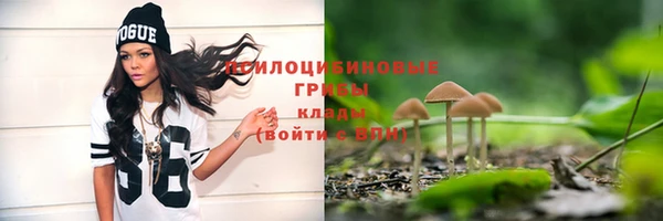 ешки Бородино