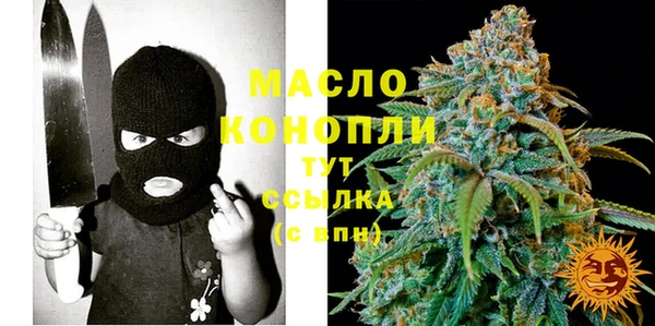 ешки Бородино