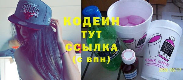 ешки Бородино