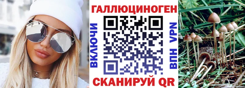 MEGA ТОР  купить наркоту  Липки  Галлюциногенные грибы прущие грибы 